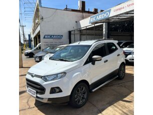 Foto 1 - Ford EcoSport Ecosport Freestyle 1.6 16V (Flex) manual