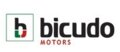 Bicudo Motors